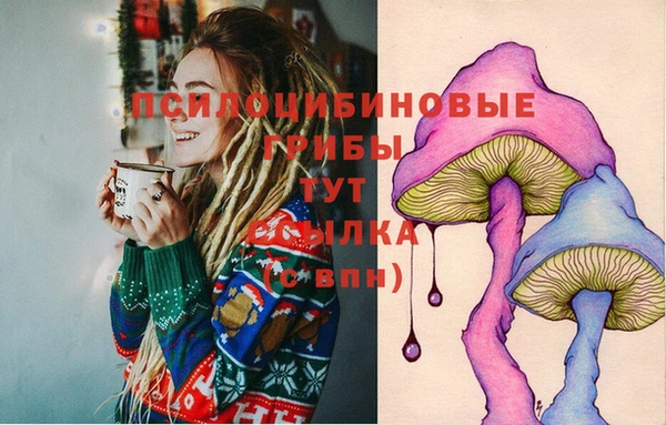 spice Балабаново