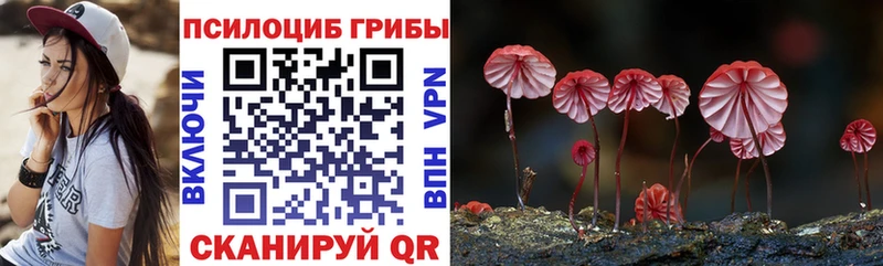 Псилоцибиновые грибы мухоморы  цены   Гулькевичи 